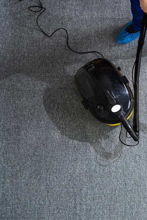 Carpet before professional cleaning