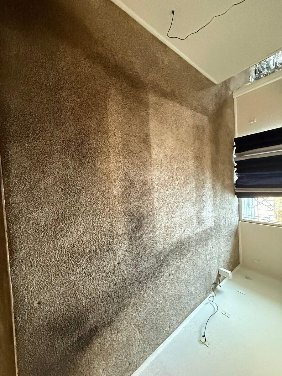 Soiled residential carpet before cleaning, from a Duval Floor Care Facebook job photo